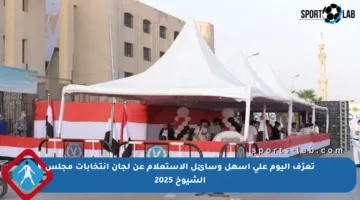 تعرّف اليوم على أسهل وسائل الاستعلام عن لجان انتخابات مجلس الشيوخ 2025